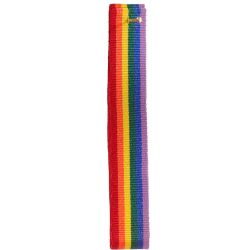 10mm x 20m Rainbow Ribbon / Pride Ribbon