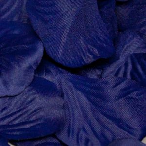 Box Of 164 Navy Fabric Rose Petals